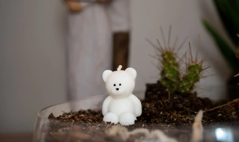 Nečekaný host, zarostlá zahrada a nové srdce: Příběh o Haně z Brna