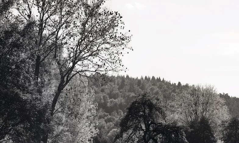 Nedělní ráno, které změnilo všechno: Příběh zrady a odvahy najít sama sebe