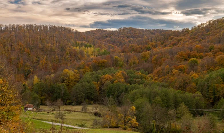 Nepřetržitý pláč ze třetího patra: Pravda, která nás všechny změnila