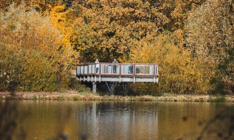 Neutíkej sama před sebou, Eva! – Útěk nevěsty z rodiny ženicha