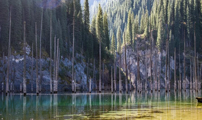 Peněženka mého muže, můj vězeňský múr: Boj o svobodu v ledovém manželství