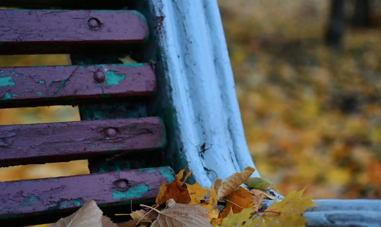 Proč plakal můj syn u babičky: Tajemství naší rodiny a odvaha matky