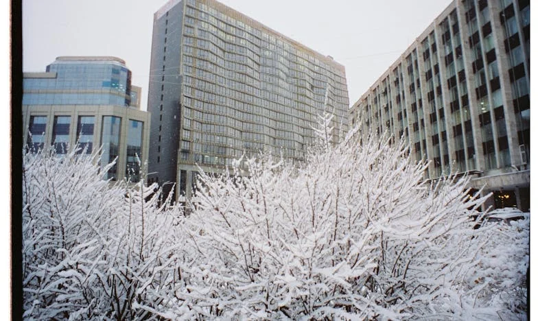Srdce matky zlomené: Luciin boj a naše nechtěná zrada