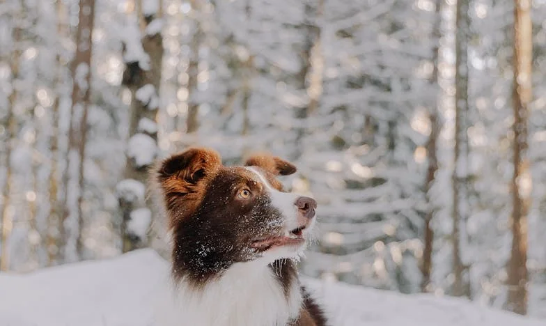 Třetí dítě, třetí rána: Když láska nestačí zachránit rodinu