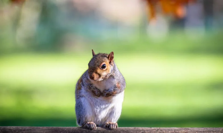 U své tchyně sní všechno, doma mi vyčítá i sůl: Příběh o jídle, vztazích a hledání vlastní hodnoty
