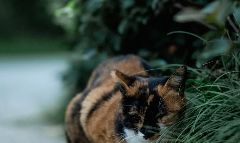 Víkend u babičky: Když Honzík prosil, ať ho vezmeme domů