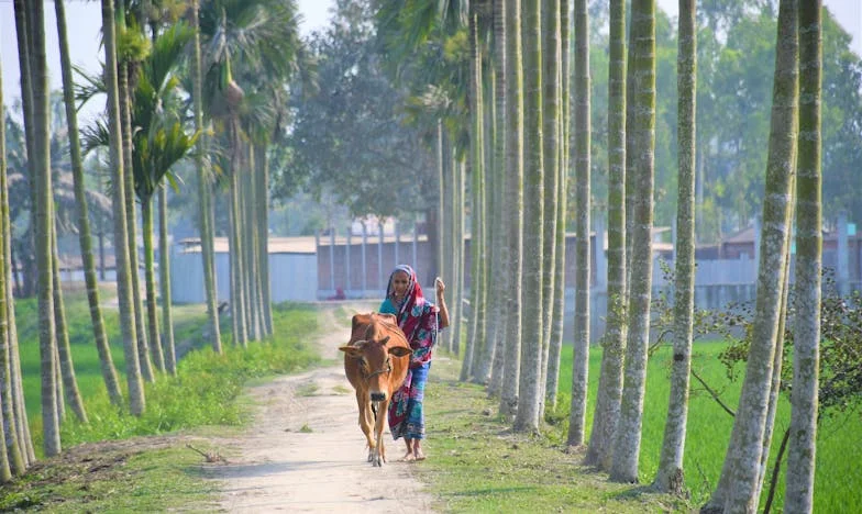 Všechno jsem dala synovi, a on mě zapomněl: Příběh jedné české matky