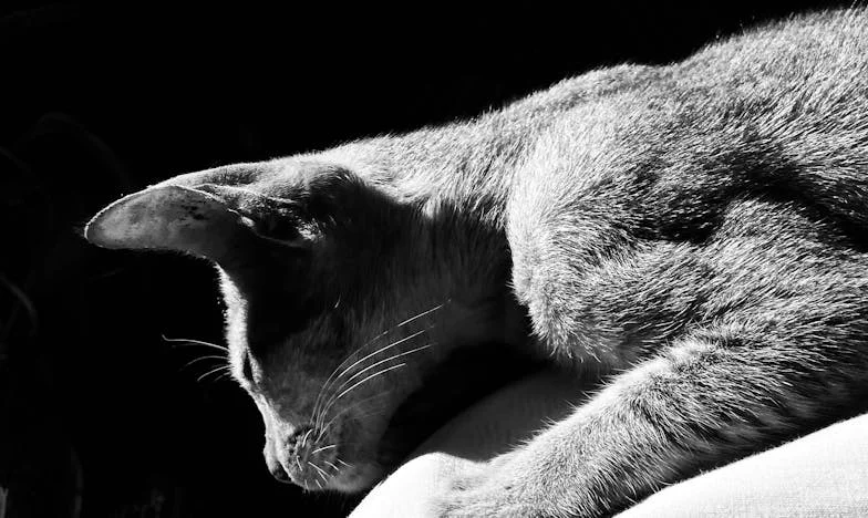 Z popela: Magdin nový začátek