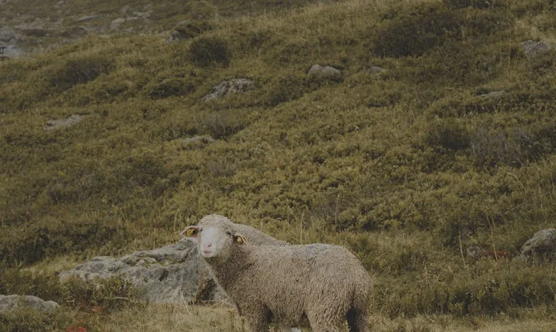 Značkové oblečení, zlomená srdce: V rozhodnutí jedné matky