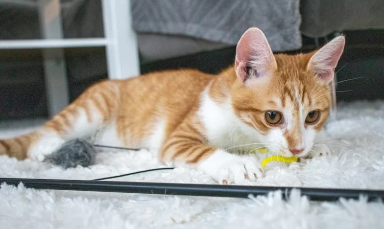 Dědictví ticha: Když rodina přijde až na poslední chvíli