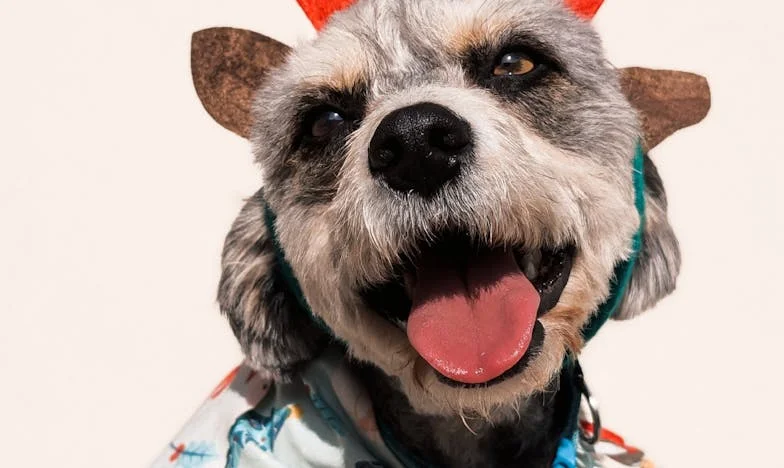 Dům místo rodiny: Jak mi manželova zrada změnila život navždy