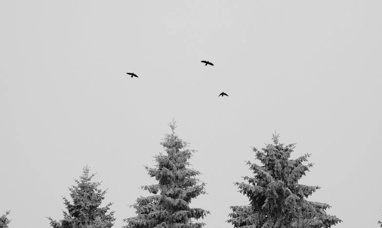 „Ideální ženich“: Jak jsem zjistila, že rodinné štěstí může být pastí