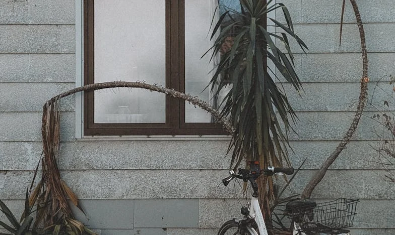 Když bolest odhalí, co mlčení skrývá: Můj život po pravdě