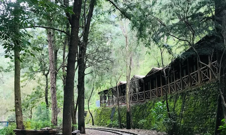 Když máma zavolala, že přijedou příbuzní: Tentokrát jsem to vzala jinak