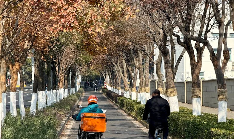 Když mě tchyně vyhodila z domu: Příběh o zradě, odvaze a novém začátku
