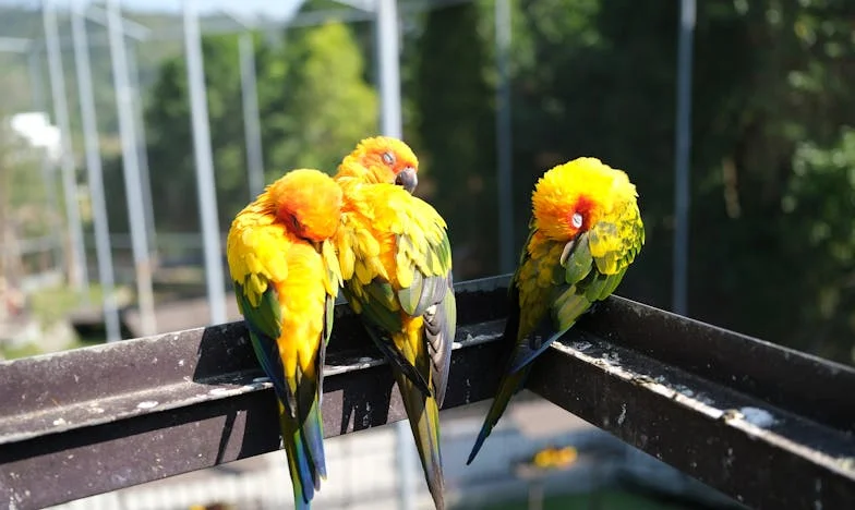 Když se domov změní v cizí místo: Příběh po návratu z nemocnice