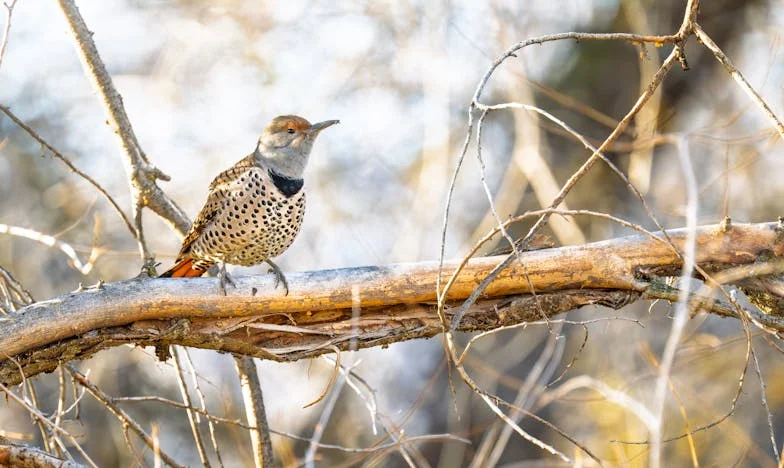 Láska k matce versus manželství: Jak jedno pozvání rozbilo můj domov