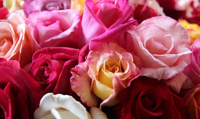 Mami, vrať mi klíče od bytu! Jak moje máma rozbila naše manželství svou láskou