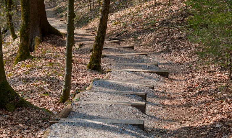 Mezi povinností a sebeúctou: Příběh jedné české rodiny