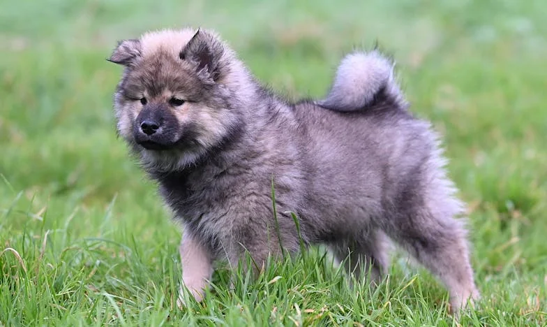 Mezi tichem a důvěrou: Můj boj o místo v nové rodině