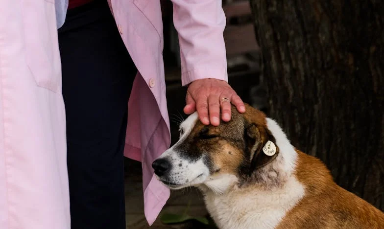 Moje srdce rozdělené: Příběh babičky, která sleduje, jak se její rodina rozpadá kvůli lásce k jednomu dítěti