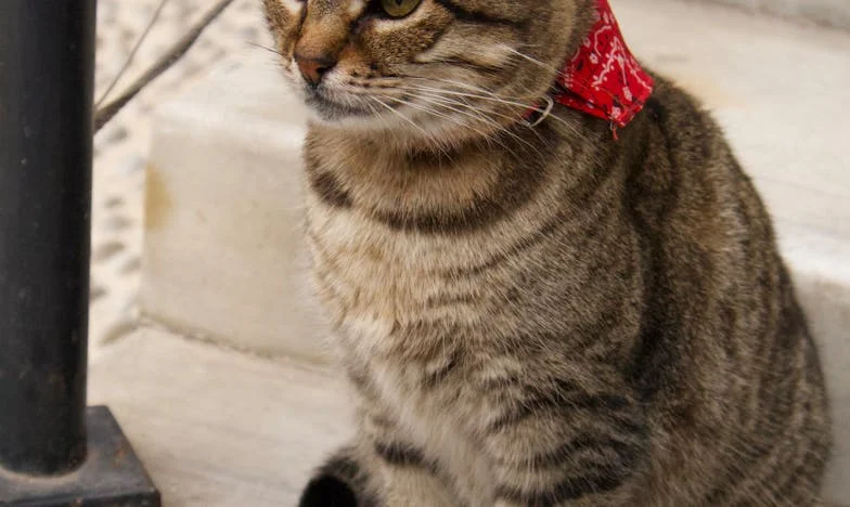 Můj syn mi nabídl peníze za úklid jeho bytu. Cítím se zrazená. Co se stalo s rodinou?