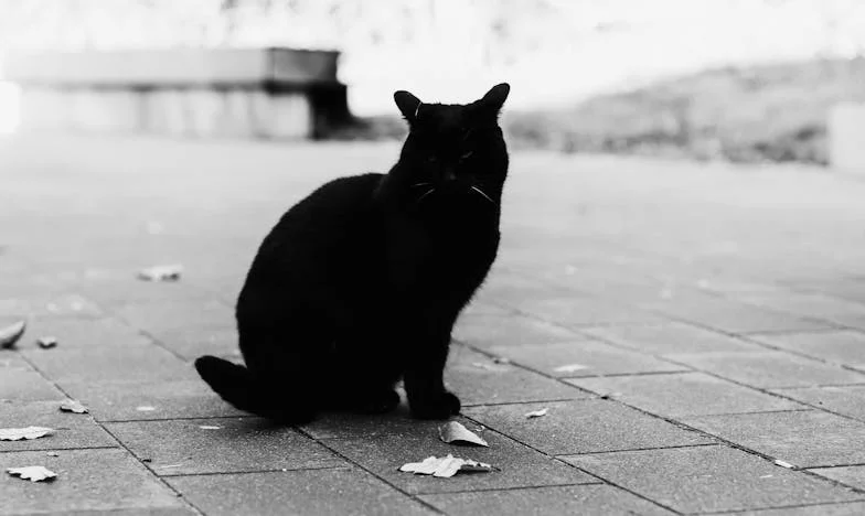 Nezapomenutelná volba: Jak jsem musela nechat svého syna v nemocnici