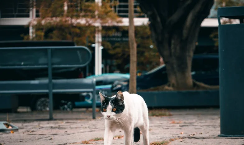 Peněženka mého muže, má věznice: Boj o svobodu v zamrzlém manželství