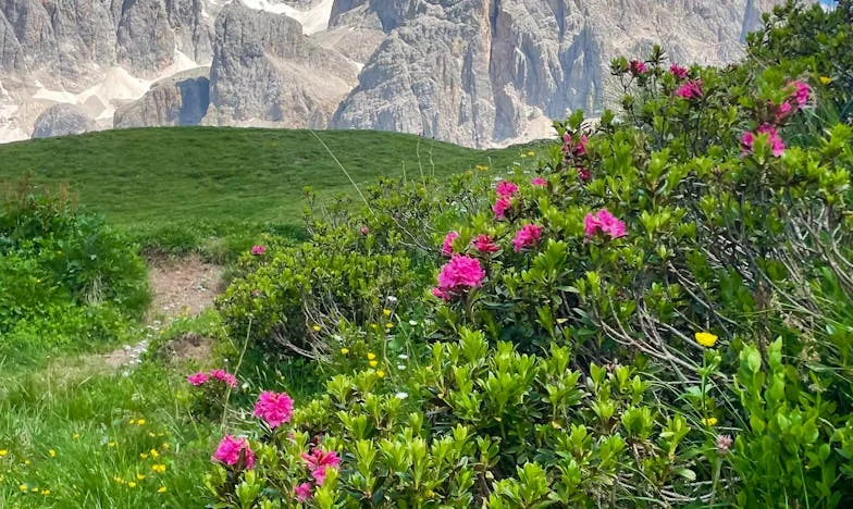 Pod jednou střechou: Když se rodičovství stane břemenem