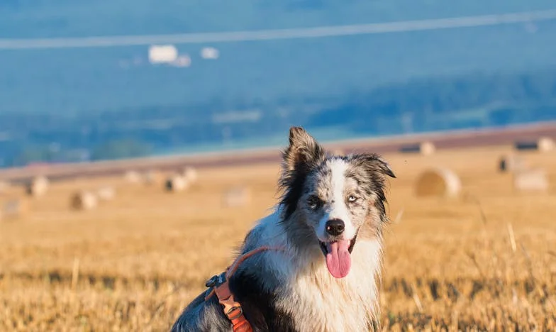 Pozdní návraty, cizí parfém a ticho mezi námi: Jak jsem přišla o rodinu, když jsem to nejméně čekala