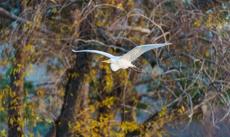 Prázdná lednice a srdce plné strachu: Můj život mezi obětmi a ztracenými sny