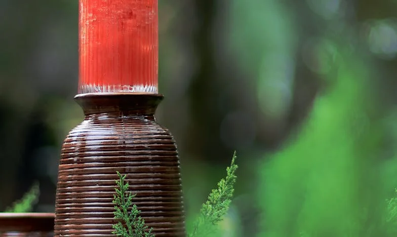 Stíny za zavřenými dveřmi: Příběh jedné české ženy o zradě a novém začátku