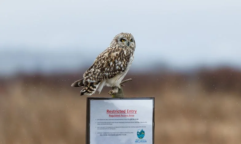 Telefon, který změnil všechno: Návrat starých vin a rodinných tajemství