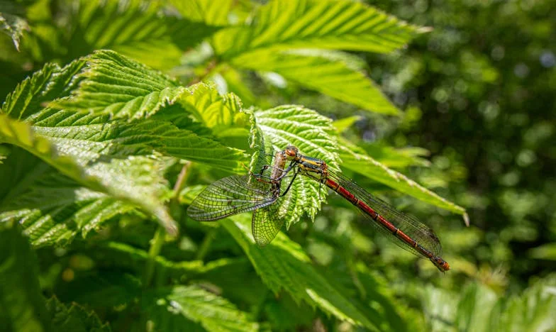 Všichni věděli, jen já ne: Příběh zrady mezi nejbližšími