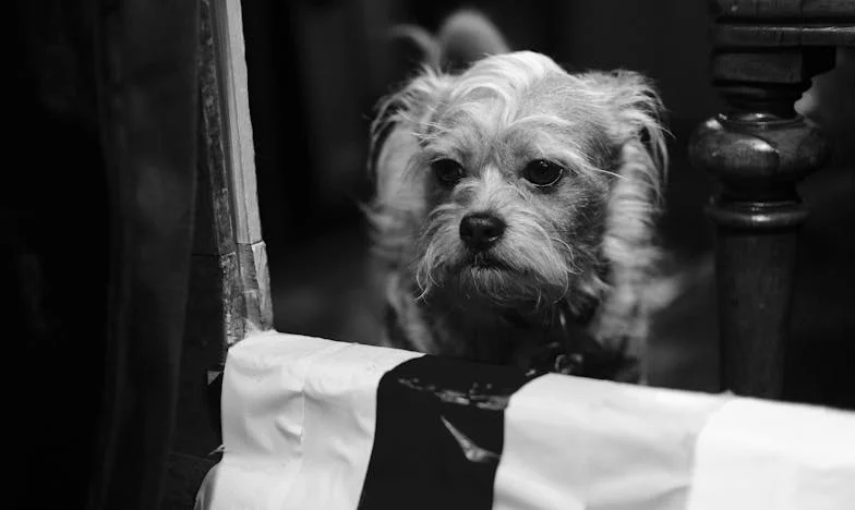 Vyhozená z domova kvůli těhotenství: Po deseti letech přišli prosit o pomoc