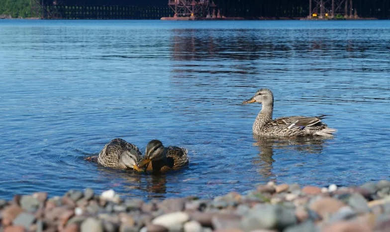 Co znamená být matkou, když vás vlastní dcera zapomene: Příběh o důvěře, penězích a zradě