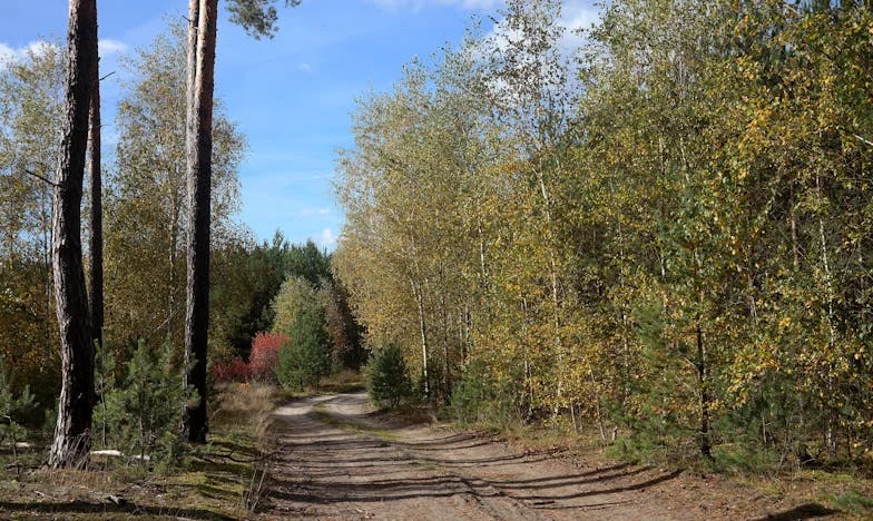 Dovolená, která mě proměnila v černou ovci rodiny