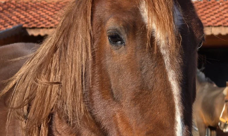 Dvacet let ticha: Pravda, která změnila všechno