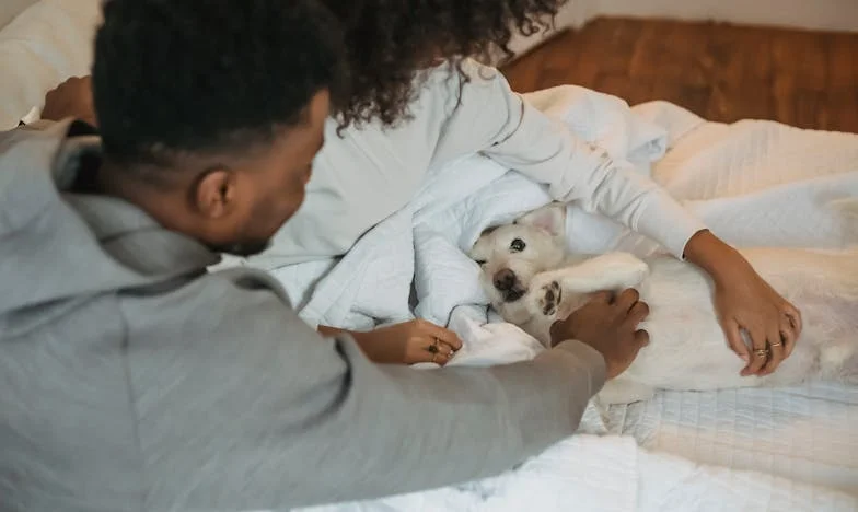 Dvojčata v srdci Vysočiny: Tajemství, které roztrhalo naši rodinu