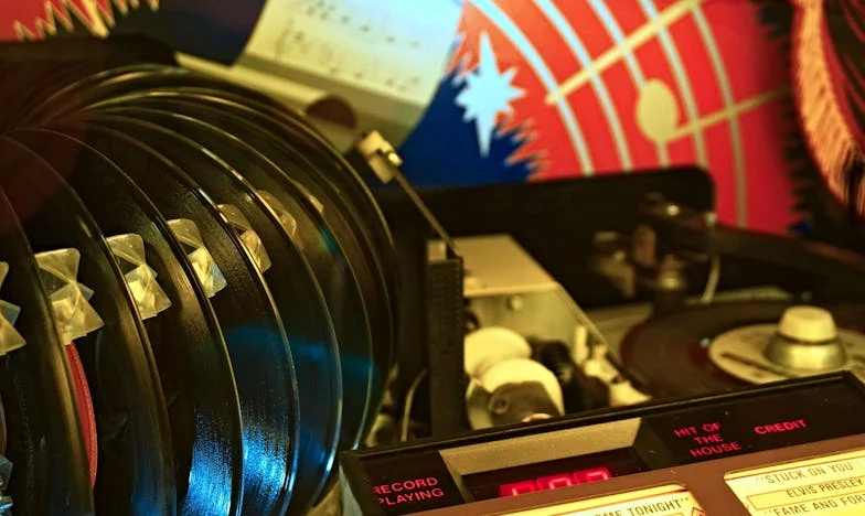 Hostem ve vlastním domě: Příběh české snachy