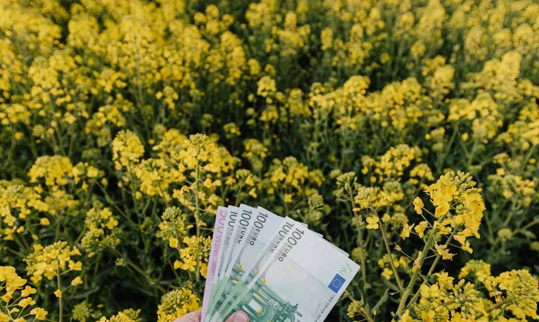 „Jestli máš aspoň trochu svědomí, mohla bys občas umýt nádobí.“ Můj syn mi řekl, že mu rozvracím rodinu.