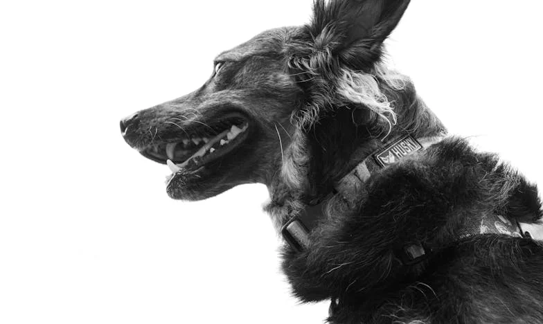 Kdo má právo rozhodovat o jménu mého syna?