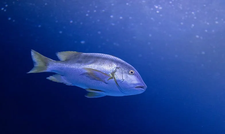 Když dědictví roztrhá rodinu: Dům, který mi nikdy nepatřil srdcem