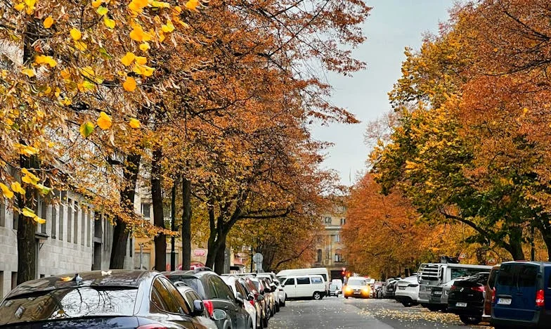 Když mě tchyně vyhodila z bytu: Příběh o odvaze, ponížení a hledání vlastní hodnoty v Praze