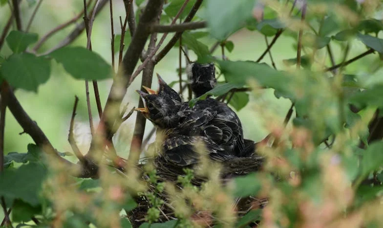 Když přátelství bolí: Příběh o důvěře, zradě a znovunalezení sebe sama