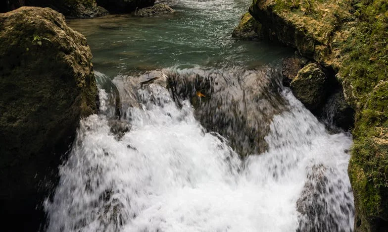 Krev není voda: Mezi pochybnostmi a důvěrou v české rodině