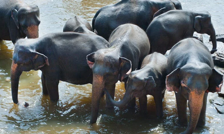 Mezi láskou a hranicemi: Když se můj syn vrací domů s rodinou
