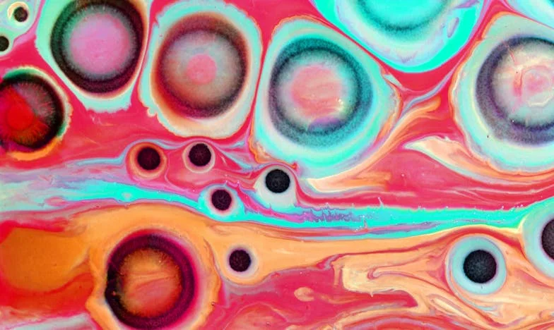 Můj muž mi gratuloval k nové práci. Pak mi oznámil, že mám platit nájem a kupovat pleny. Nevěřila jsem vlastním uším.