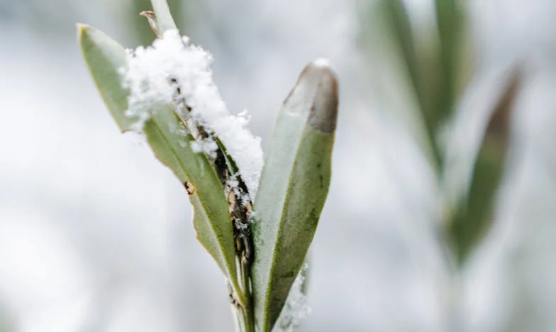 Nemohu odpustit svému synovi, že mi zničil vztah: Život s ním je teď nesnesitelný