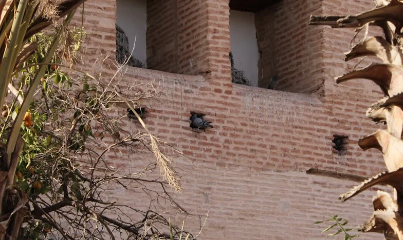 „Přijedou hosté!” – Návrat do rodného domu a konfrontace s minulostí, která bolí